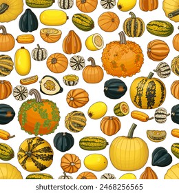 Seamless pattern with types of winter squash. Cucurbita pepo. Cucurbitaceae. Fruits and vegetables. Isolated vector illustration. Art.