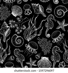 Seamless pattern. Underwater world hand drawn. Sketch illustration. Seaweed, coral, seashell, jellyfish illustration. Vintage design template. Undersea world collection. Black and white style.