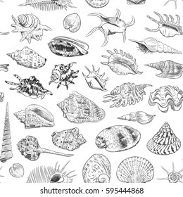 seamless pattern Unique museum collection of sea shells rare endangered species, molluscs Gastropoda Bivalvia Venus comb murex Tridacna squamosa Muricidae black contour on white background. Vector