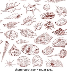 seamless pattern Unique museum collection of sea shells rare endangered species, molluscs Gastropoda Bivalvia Venus comb murex Corculum cardissa Muricidae Brown contour on white background. Vector 