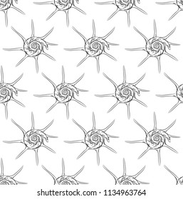 seamless pattern Unique star sea shells Harpago is a genus of sea snails, marine gastropod mollusks in the family Strombidae. Sketch black contour on white background. Vector