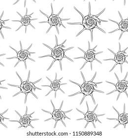 seamless pattern Unique star sea shells Harpago is a genus of sea snails, marine gastropod mollusks in the family Strombidae. Sketch black contour on white background. Vector