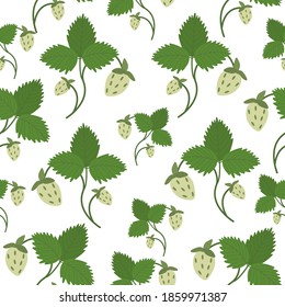 Seamless pattern with unripe strawberries with a stem and a green leaf on a white background. Green strawberry Bush in vector.