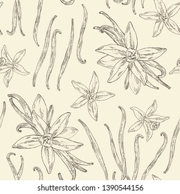 Seamless pattern with vanilla: flower and vanilla pod . Vector hand drawn illustration