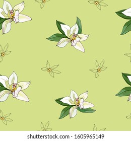 Seamless pattern of vanilla flowers. Vector hand-drawn illustration for fabric, tile, bedding and perfume.
