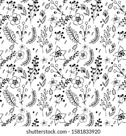 seamless pattern with various asthenia and flowers. Black and white hand-drawn illustration. vector illustration