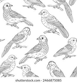 Seamless pattern with various birds types