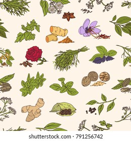 Seamless pattern with various fresh tasty spices or piquant condiments on light background. Plants with leaves, seeds and flowers. Hand drawn vector illustration for wallpaper, wrapping paper.