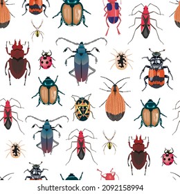 Seamless pattern of various insects on a white background. Vector illustration of multicolored beetles.