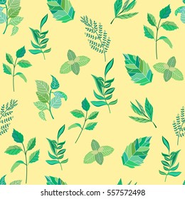 Seamless pattern of various leaves. mint, rosemary, green tea, rose.Vector illustration.