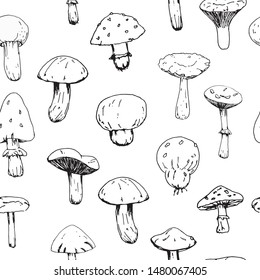 seamless pattern with various mushrooms vector, isolated on white background