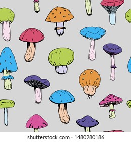 seamless pattern with various mushrooms vector, isolated on white background