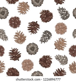 
Seamless pattern with various pine cones. Hand drawn vector illustration in sketch style. Nature template.