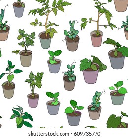 Seamless pattern with various seedlings and potted plants. Vector design on white background.
