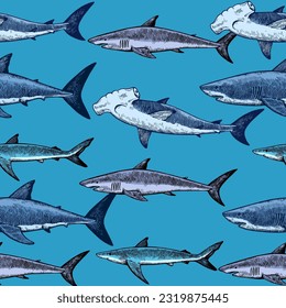 Seamless pattern with various sharks, great white shark, hammerhead shark and other. Vector illustration in engraving vintage style.