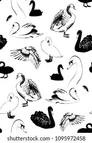 seamless pattern with various swans sketches, black and white, vector illustration