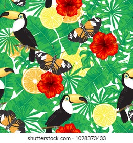 Seamless pattern with various tropical leaves, toucan, postman butterfly, and citrus fruits. Element for design.