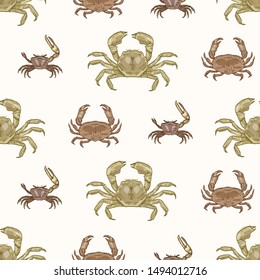 Seamless pattern with various types of crabs on white background. Natural backdrop with aquatic animals. Elegant realistic vector illustration in vintage style for wrapping paper, textile print.