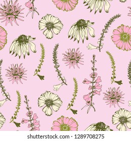 Seamless pattern with various types of flowers. Vector background with hand drawn style garden flowers