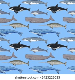 Seamless pattern with various whales. Hand-drawn detailed print. Vector illustration for design.