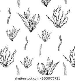 Padrão contínuo com algas vetoriais. Alga marinha pintada à mão, esboço laminaria. Clipe-arte tropical gráfico isolado no fundo. Ilustração subaquática. Para designers, convites, decoração