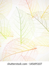 Seamless pattern vector with autumn leaves