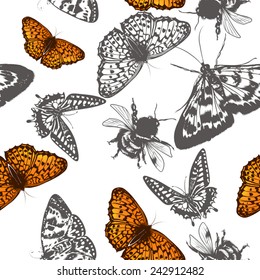 Seamless pattern with vector detailed butterflies on white