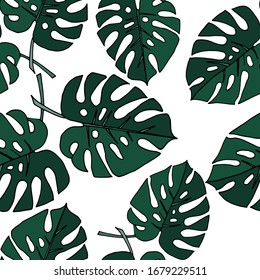 Seamless pattern. Vector drawing of tropical leaves. Beautiful decorative design