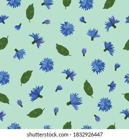 Seamless pattern Vector Endless pattern with cornflowers and leaves, foliage Print for wrapping paper web textile