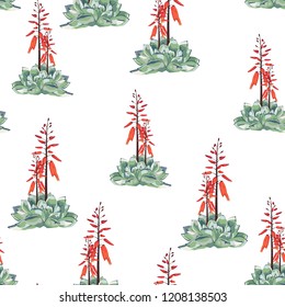 Seamless pattern vector floral watercolor style design: succulent in bloom. Rustic romantic white background print. 