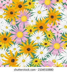 Seamless pattern of vector flowers, variety of daisies and leaves. Hand drawn illustrations.