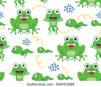 Seamless pattern vector of funny frog life cycle cartoon