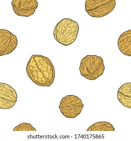 Seamless pattern. Vector graphics. Walnuts.