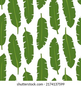 Seamless pattern of vector green banana palm leaves on white background