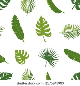 Seamless pattern of vector green palm tropical leaves on white background