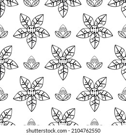 Seamless pattern with vector hand drawn flower. Pattern herbs and flowers painted black line.