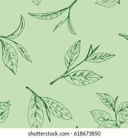 seamless pattern vector with hand-drawn leaves and branches of tea