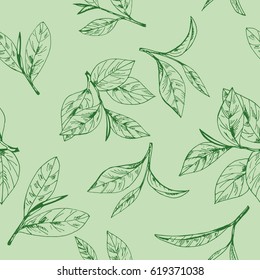 seamless pattern vector with hand-drawn leaves and branches of tea