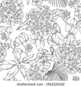 Motif harmonieux. Image vectorielle création d'hydrangée. Noir et blanc
