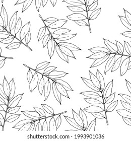 Seamless pattern. Vector illustration with bay leaf.