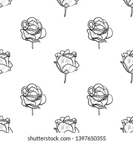 Seamless pattern vector Illustration of beautiful rose, drawing spring flower isolated on white background.