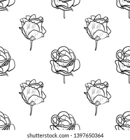 Seamless pattern vector Illustration of beautiful rose, drawing spring flower isolated on white background.