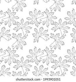 Seamless pattern. Vector illustration with leaves. Doodle sketch. 