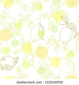 Seamless pattern vector illustration with lemon citrus elements in colorful graphic with circles