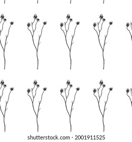 Seamless pattern. Vector illustration with wildflower. Doodle sketch. 