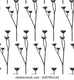 Seamless pattern. Vector illustration with wildflower. Doodle sketch. 