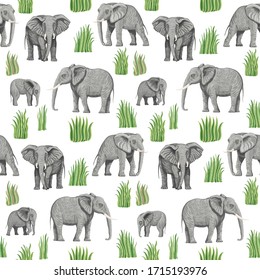 Seamless pattern of vector savannah safari animals. African elephants, branches, grass, herbs, bush and palm tree leaves isolated on a white background. Wallpaper, batik, chintz print