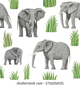 Seamless pattern of vector savannah safari animals. African elephants, branches, grass, herbs, bush and palm tree leaves isolated on a white background. Wallpaper, batik, chintz print