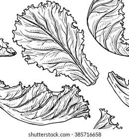 Seamless pattern with vector sketch of lettuce isolated on a white, hand drawn illustration