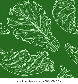 Seamless pattern with vector sketch of lettuce on a green background, hand drawn illustration
